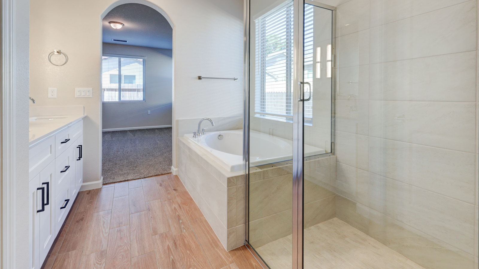 Owner bath tub and shower