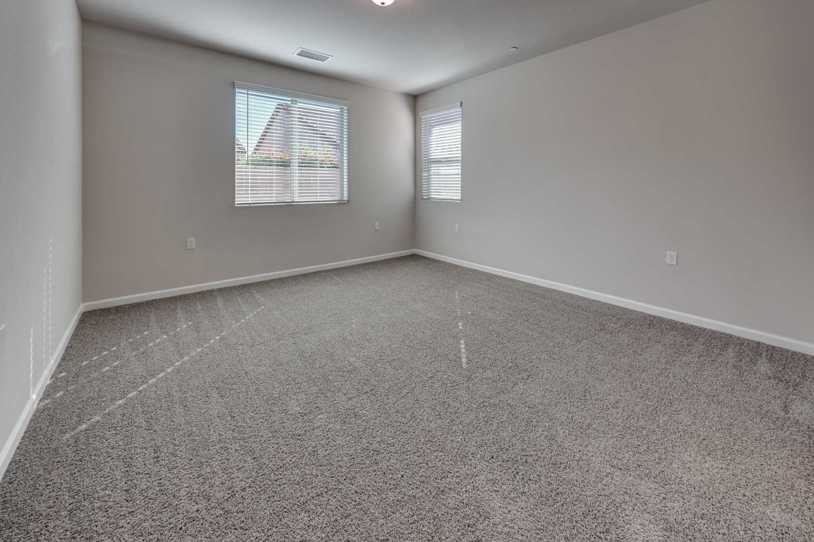 Carpeted Bedroom with windows and neutral grey walls