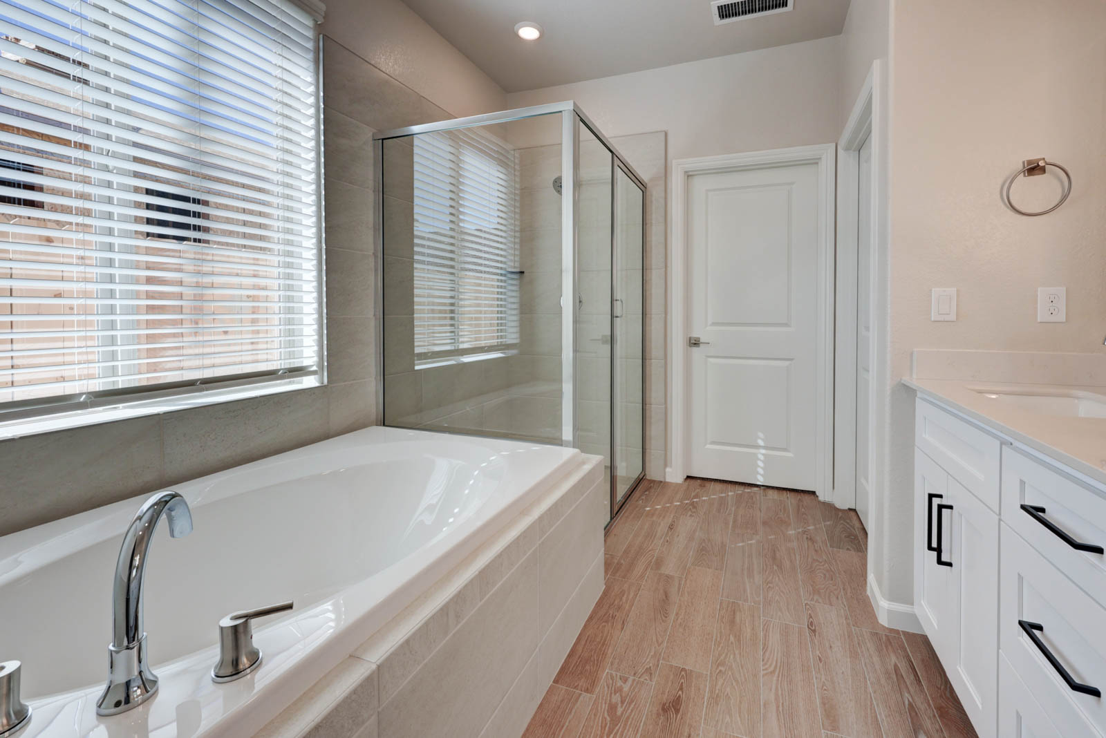 Tub and Shower area of bath