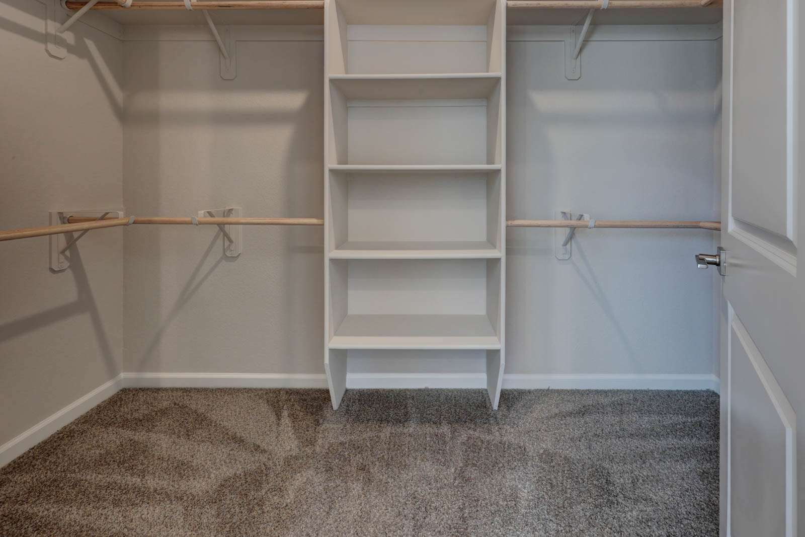 Walk-in Closet with carpeting and shoe and clothes storage